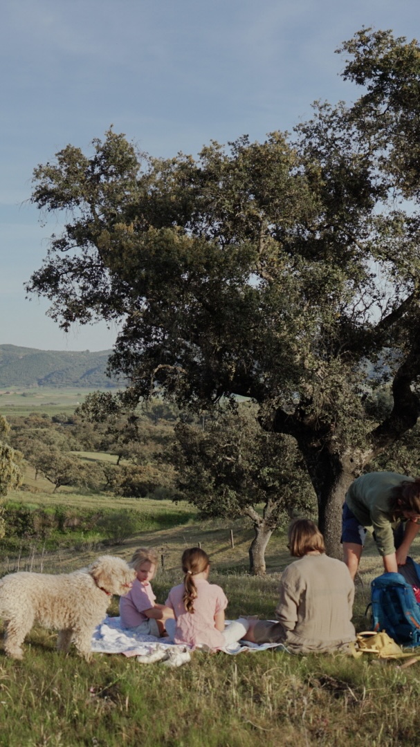 ‘It’s a shame they won’t remember any of this!’